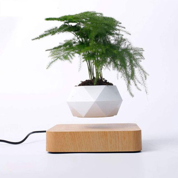 Magnetic Levitating Air Bonsai Plant Pot