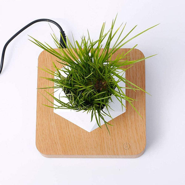 Magnetic Levitating Air Bonsai Plant Pot
